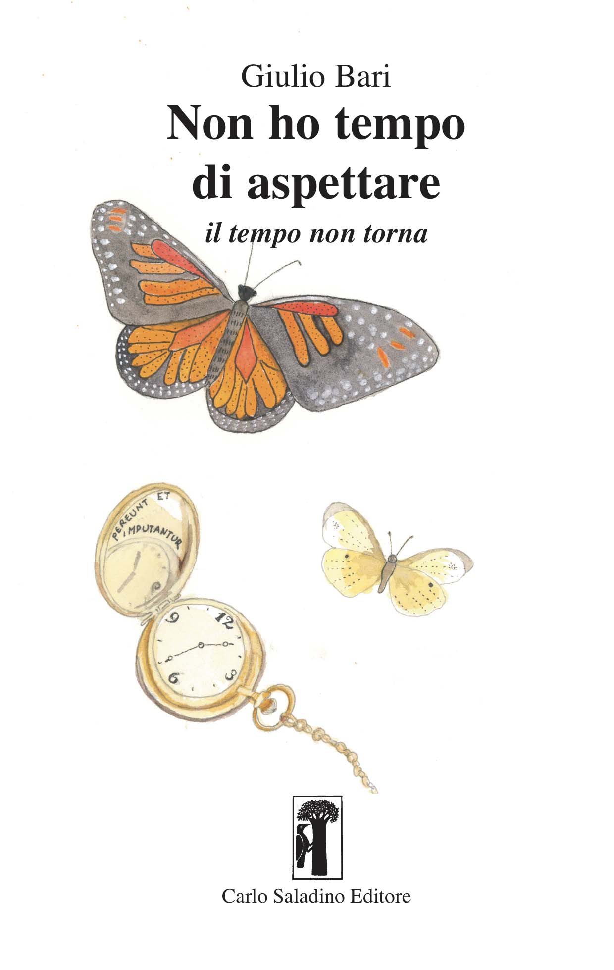 Non ho tempo di aspettare
